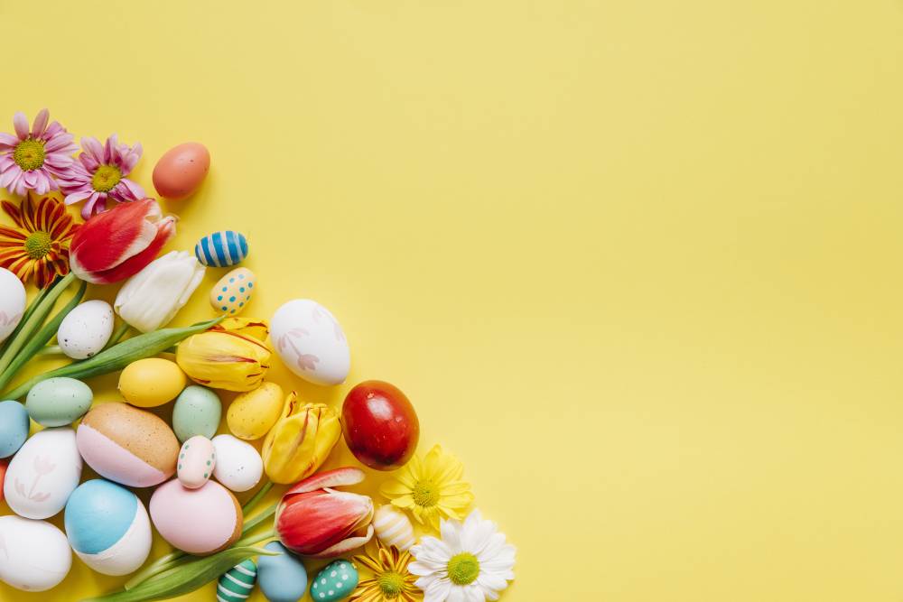composed-eggs-flowers-yellow